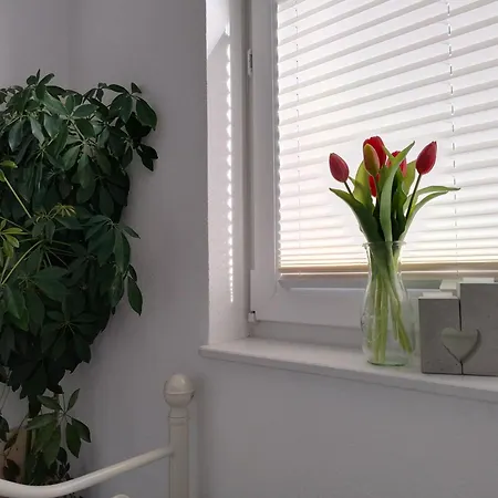 Apartman Ferienwohnung 44 *