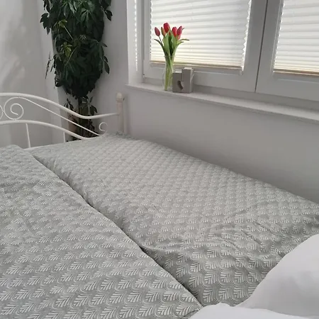 Ferienwohnung 44 Apartman Kißlegg